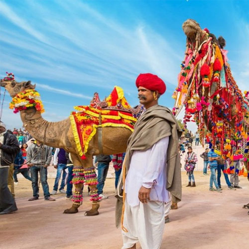 listing-details-carousel